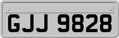 GJJ9828