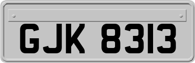 GJK8313