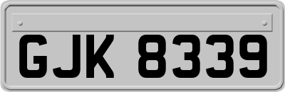 GJK8339