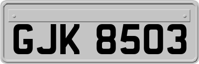 GJK8503