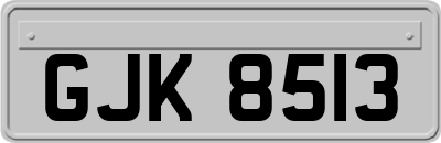 GJK8513