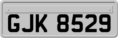 GJK8529