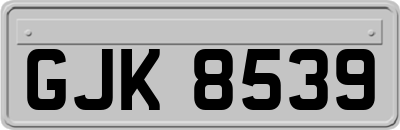 GJK8539