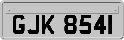 GJK8541