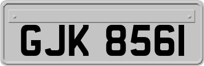 GJK8561