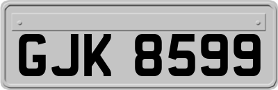 GJK8599