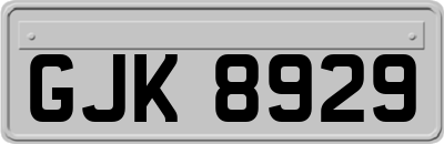 GJK8929
