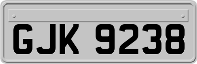 GJK9238