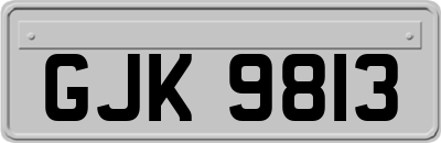 GJK9813