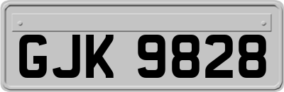 GJK9828