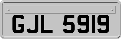 GJL5919