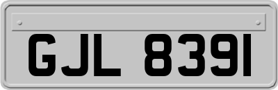 GJL8391