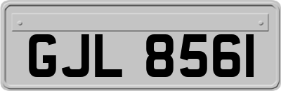 GJL8561