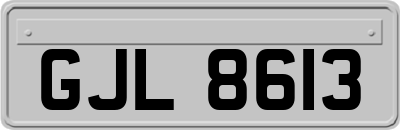 GJL8613