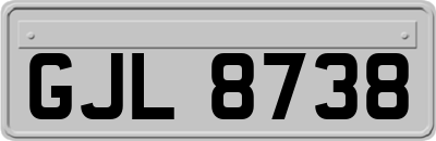 GJL8738