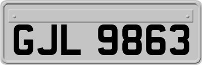 GJL9863