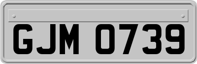 GJM0739