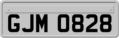 GJM0828