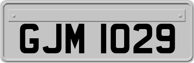 GJM1029
