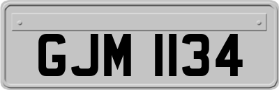 GJM1134