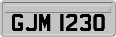 GJM1230