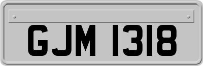 GJM1318