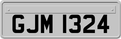 GJM1324