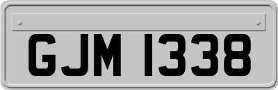 GJM1338