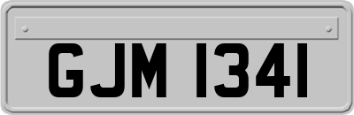 GJM1341