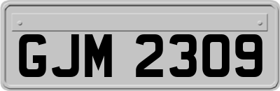GJM2309