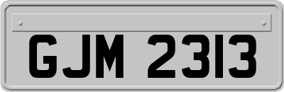 GJM2313