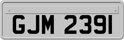 GJM2391