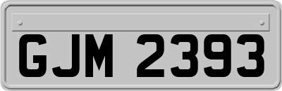 GJM2393