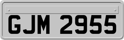 GJM2955