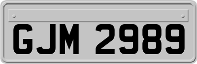 GJM2989