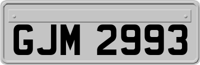 GJM2993