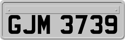GJM3739