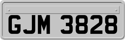 GJM3828