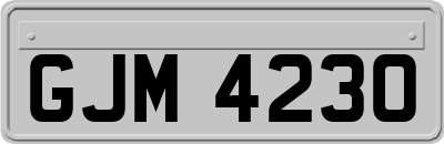 GJM4230