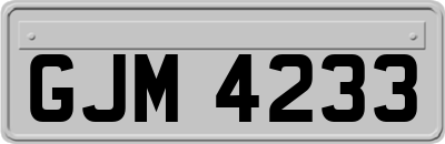 GJM4233