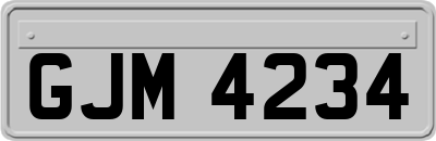 GJM4234