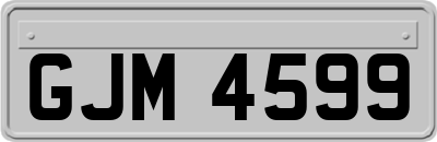 GJM4599