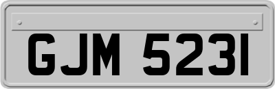 GJM5231