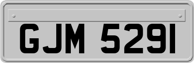 GJM5291
