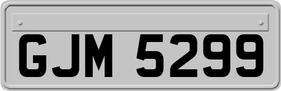GJM5299