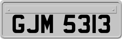 GJM5313