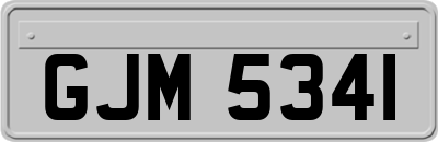 GJM5341