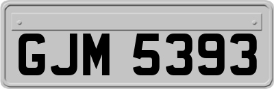 GJM5393