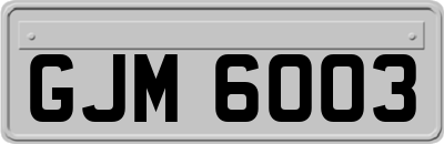 GJM6003