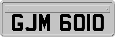 GJM6010